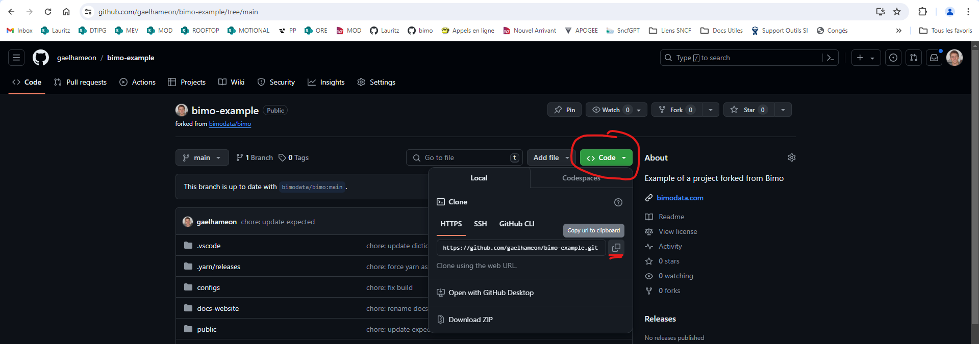 URL of your Fork on GitHub